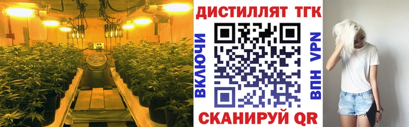 Дистиллят ТГК вейп купить наркоту Россошь